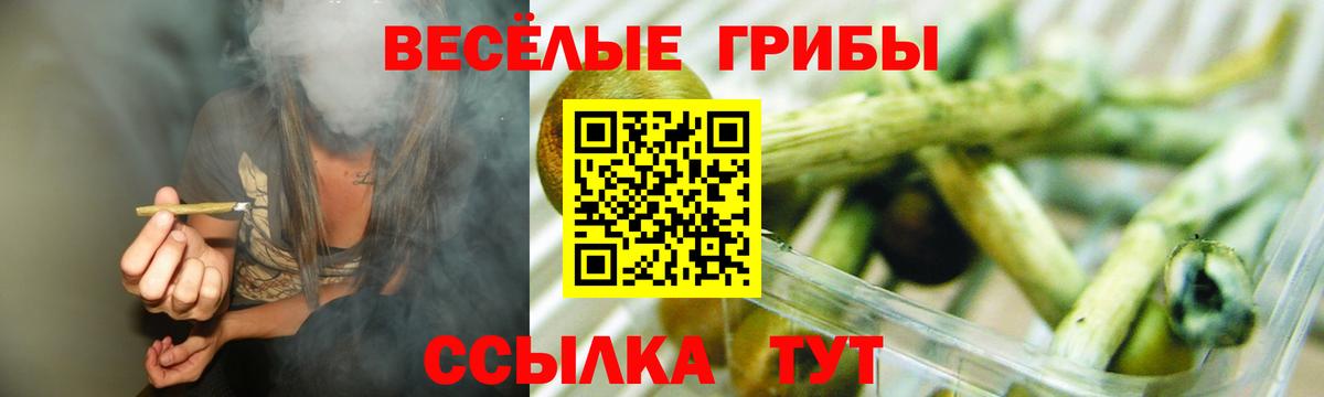 Нижний Тагил  Псилоцибиновые грибы Psilocybe  Вход с VPN  Псилоцибиновые грибы GOLDEN TEACHER 